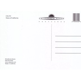 CAL372, View of California Postcard [ ONE 1 CARD ] Beverly Hills, San Diego, Hol