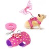 Hamster Leash & Harness On-The-Go Tow Rope Adjustable Anti-Lost Chest