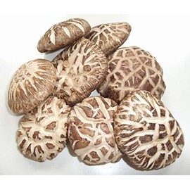 1 LB (16OZ) PREMIUM DRIED TEA COLOR SHIITAKE MUSHROOM