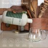 ION Biome - ION Gut 473ml - All Natural Food