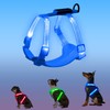 PZRLit Rechargeable Light Up Dog Harness for Small Dogs –