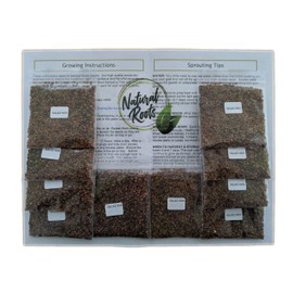 Salad Mix Sprouting Seeds for Sprouts and Microgreens. Non-GMO. Pack of 10 premeasured Seeds for 32oz Jars and 8 inch Trays. Our Proprietary Salad Mix Includes: Broccoli, Alfalfa, Radish, Mung Beans