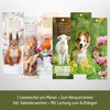 Häfft® Bookmark Calendar 2026 with 12 Bookmarks Including Monthly Calendar,