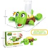 Tikapo Super Fun Gravity - Powered Turtle Coasters Sea Turtle