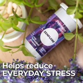 Zenflore by PrecisionBiotics – Daily Food Supplement - Unique 1714-Serenitas Live Bacterial Culture Plus Vitamins B6 and B12 - Helps Reduce Fatigue and Supports Mental Performance - 30 Capsules