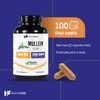 Healthfare Mullein Leaf Capsules | 3000mg | 200 Count |