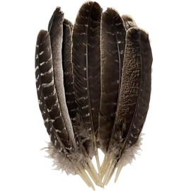 Turkey Wing Feathers,Natural Big Long Feather,8-10 inches (20-25cm),Large Size Bilateral Feathers,Left and Right Wings for Crafts,Bulk 12PCS (Natural Turkey Wing)