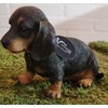 Vivid Arts - Pet Pals Black/Brown Dachshund Puppy Home or