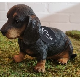 Vivid Arts - Pet Pals Black/Brown Dachshund Puppy Home or Garden Decoration (PP-DACH-F)