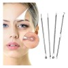 Extractor de Puntos Negros Punta Belleza, Set de 8 Herramientas en Acero Inoxidable para Limpieza Facial