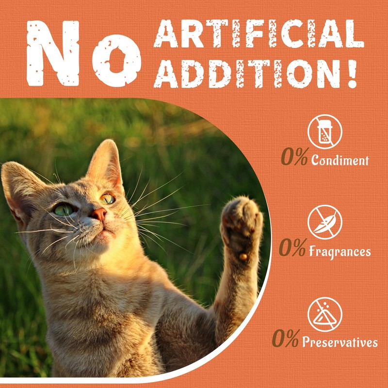 Just Try Taurine for Cats Treats with Vitamins Coenzyme Q10,
