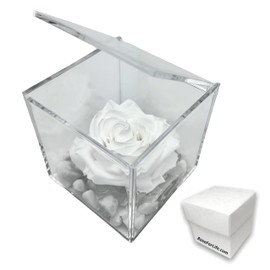 Stabilised Rose White Scented Perpetual Rose, Gift for Women and Mother's Day Gift, Wedding Gift, Birthday, Confirmation, Christening Gifts for Girlfriend (White, A 1018)