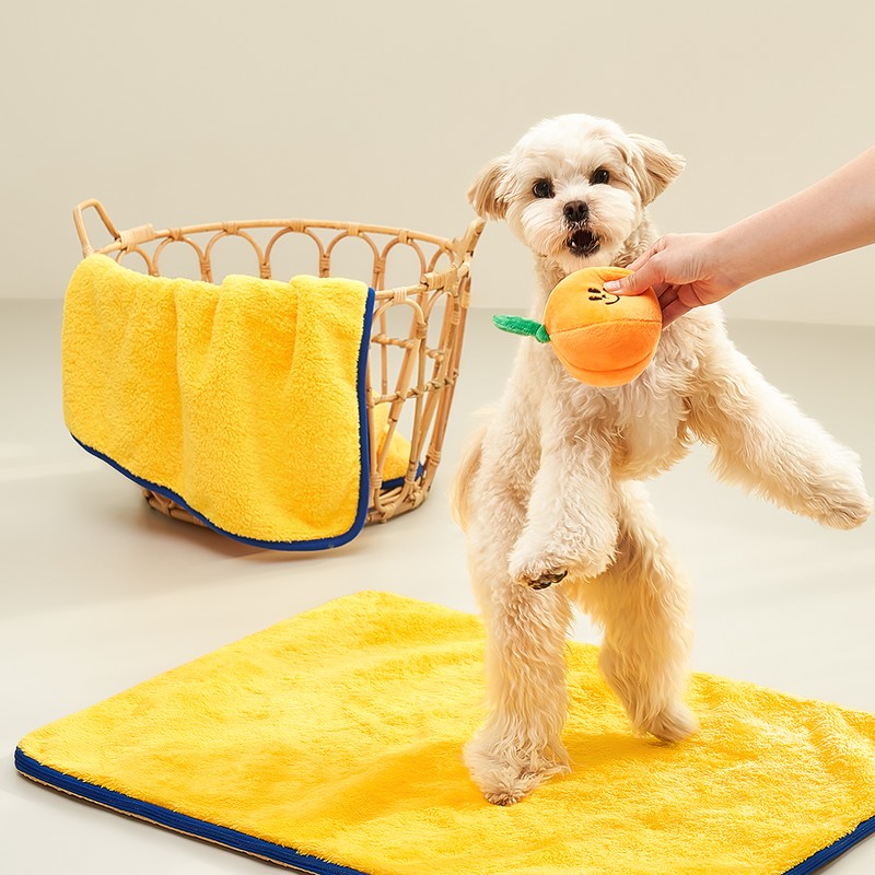 PETHROOM [Pesroom] Sponge Dry Mat for Dogs and Cats, Microfiber