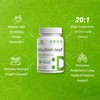 Mullein Leaf Extract 20,000mg, 240 Veggie Capsules – 4 Month