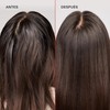 Olaplex No. 4C Bond Maintenance Clarifying Shampoo, 250 milliliters