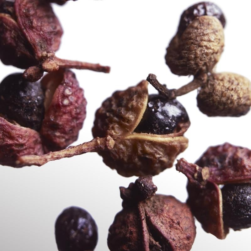 DAVIDOFF Cool Water Parfum Eau De Parfum For Women