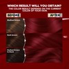 Garnier Nutrisse Ultra Color Hair Color, Permanent Hair Dye for