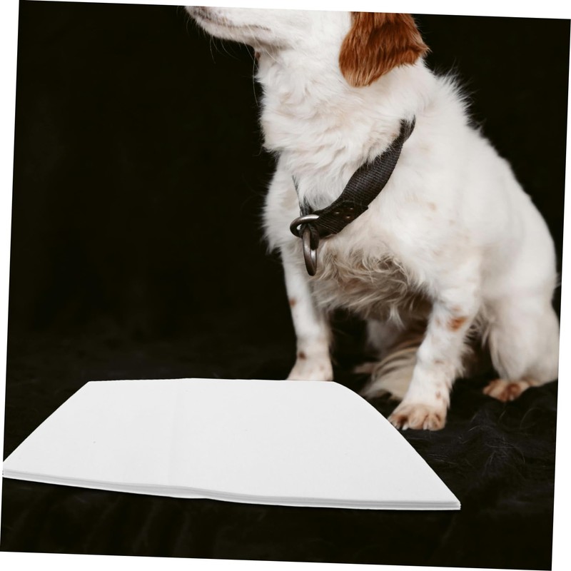 WOONEKY 50pcs Dog Pee Pads Absorbent Disposable Training Sheets for
