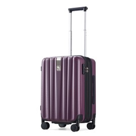 Hanke 20 Inch Expandable Carry on Luggage 22x14x9 Airline Approved Lightweight PC Hard Shell Suitcases with Wheels Tsa Luggage Rolling Suitcase Travel Luggage Bag for Weekender(Purple)