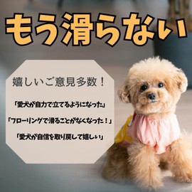 Dog Socks, Anti-Slip, Non-Slip, Paws Seal, Anti-slip Mat, For Dogs, Foot Wipes, Dogs, Paws, Cream, For Elderly Dogs, Nursing Dogs, Anti-slip Pads, All Colors Set of 12 XS