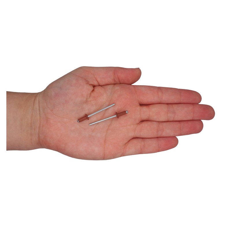 Pack of 100 Painted Blind Rivets 3.2 x 8 mm,