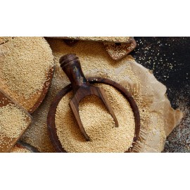 Sunshine Seeds Peruvian Trigo Wheat Seeds (200) / ORGANIC / FLORIDA GROWN