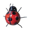 Fountasia 93601 Ladybird Wall Art, Marienkäfer, mittel