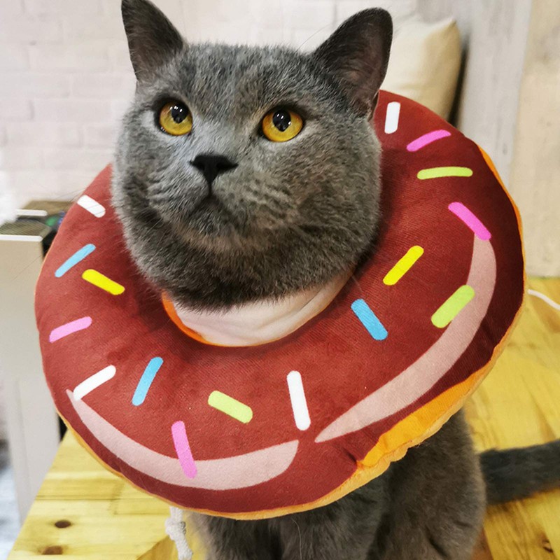 Anti Bite Cat Protective Collar Adjustable Cat Protective Collar Soft