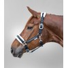 Waldhausen Elegant Halter