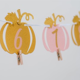 Pumpkin 1st Birthday Photo Banner Pink and Gold Glitter, Pumpkin Patch Baby Monthly New Born Garland 12 month Little Pumpkin Themed Decorations Baby Thanksgiving Party Milestone Fall Photo Banner