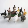 GW Box 9 Style Cat Refrigerator Magnets Fridge Magnet Set