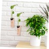 Alipis Decorative Wall Hanging Propagation Stations 2 Sets of Test