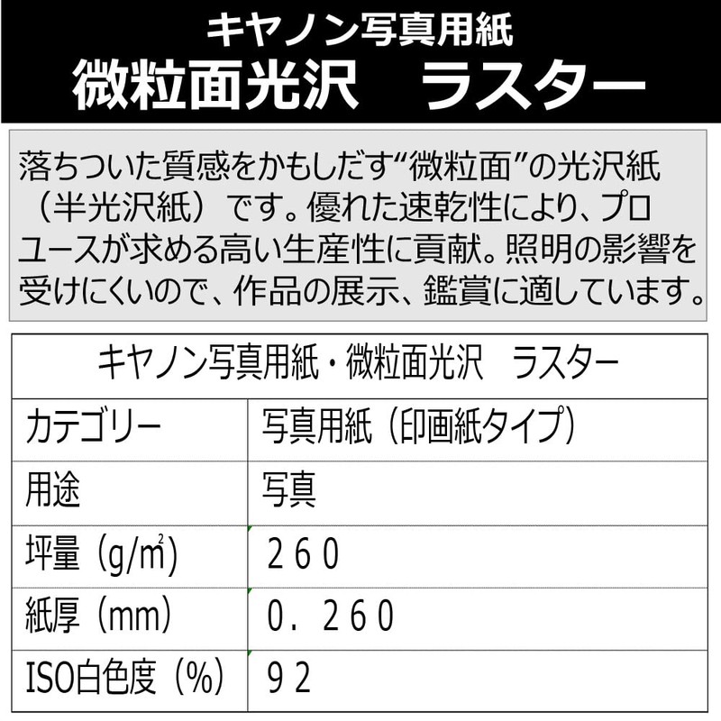 Canon 写真用紙 微粒面光沢 ラスター A4 20枚 LU-101A420