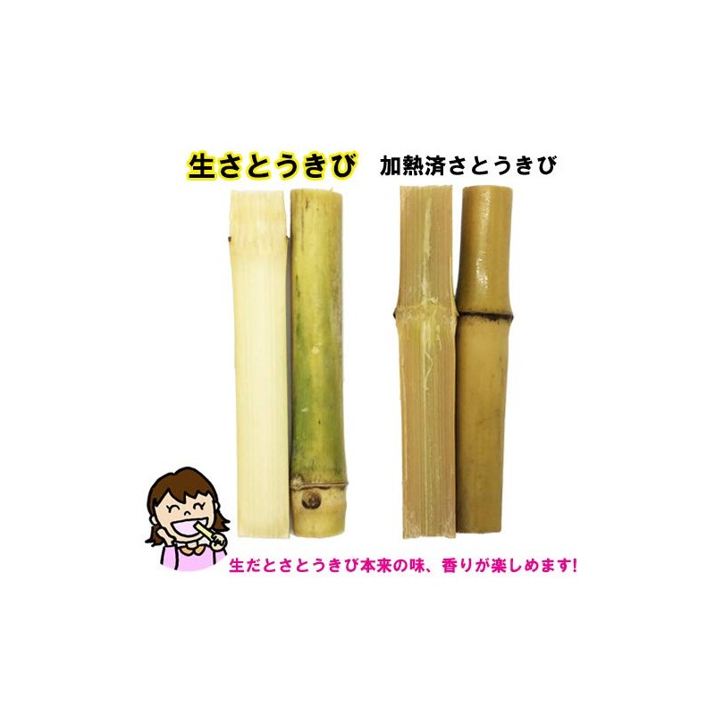 Okinawa Prefecture Raw Sugar Cane Edible 14.1 oz (400 g)