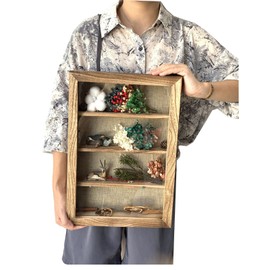 WANLIAN Shadow Box Frame with Acrylic 11x16“ Wooden Shadow Box Display Case with 3 Detachable Shelves & Linen Back, Wall-Mounted Deep Display Box Picture Frame for Photos Memorabilia (Carbonized)