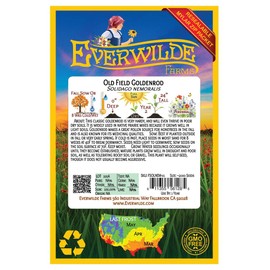 Everwilde Farms - 2000 Old Field Goldenrod Native Wildflower Seeds - Gold Vault Seed Packet