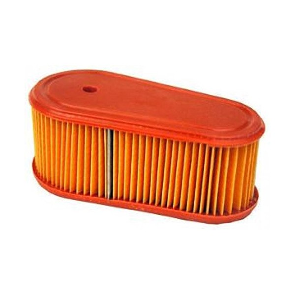 Briggs & Stratton 795066 Cabin Air Cleaner Filter
