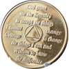 31 Year AA Founders Medallion Gold Plated Sobriety Chip
