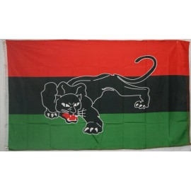 RFCO 3X5 Ft Black American Heritage Flag - Black History Month Flags X4