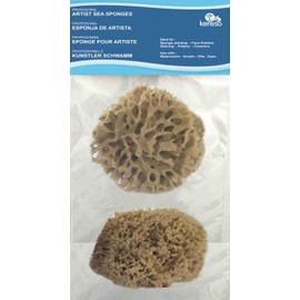 Natural Sea Sponges with Flat Side for Wall Painting – Honeycomb type reusable- long lasting,2 Pack,ideal for unique patterns,Faux Finishes, Texturing, Marbling, Decorative Painting - sizes 9-13cm