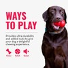 KONG Ring - Natural Rubber Ring Toy for Healthy Chewing