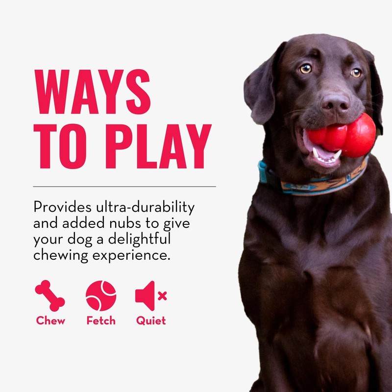 KONG Ring - Natural Rubber Ring Toy for Healthy Chewing