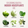 Miracle-Gro Houseplant Potting Mix: Fertilized, Perlite Soil for Indoor Gardening,