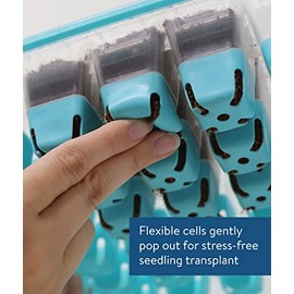 Burpee Burpee SuperSeed Seed Starting Tray | 36 Cell Reusable Seed Starter Tray | for Starting Vegetable, Flower & Herb Seeds | Indoor Grow Kit for Plant Seedlings | for Germination Success