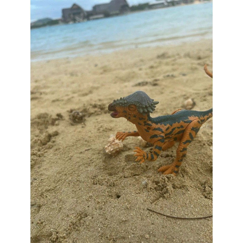 Kid Galaxy Amazing Detail PACHYCEPHALOSA