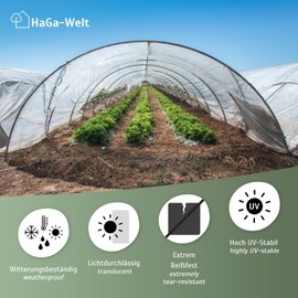 HaGa UV4 Greenhouse Film 6 m Wide Transparent PE Film - as Polytunnel, Greenhouse, Tomato House, Weather Resistant, UV-Resistant (Sold by the Metre)