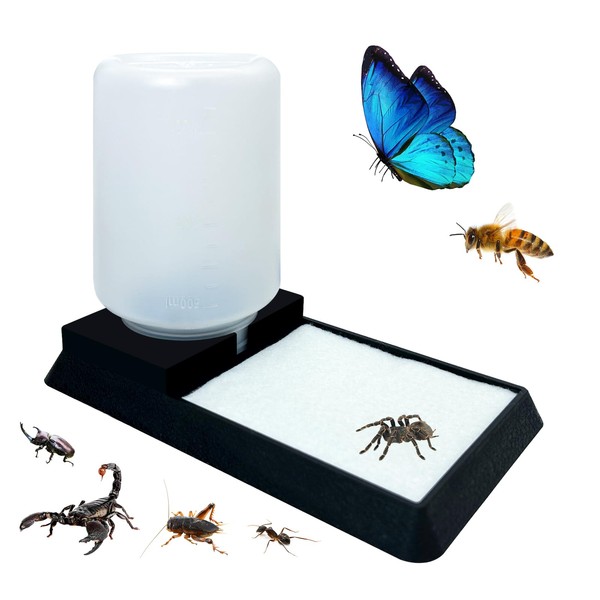 Insect Water Feeder,Spider Water Dispenser,Bug Watering Station,Bee Water Feeder,For Spiders,Tarantulas,