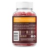 BeLive Belive Apple Cider Vinegar Gummies - ACV Gummies Without