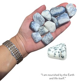 BellaMira Dendritic Agate Tumblestone Healing Crystal, Single Polished Stone, Healing Crystal for Safe Travel, Protection, Lloyalty, Tranquility, Abundance, Growth, Connection