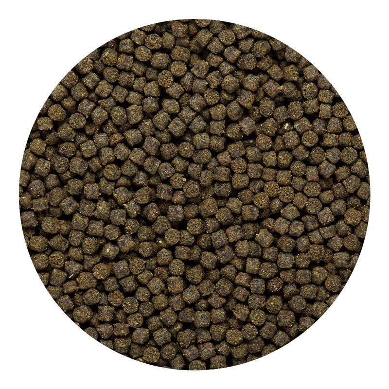 Hikari Sinking Goldfish Excel Fish Food, 3.8 oz. (110g)